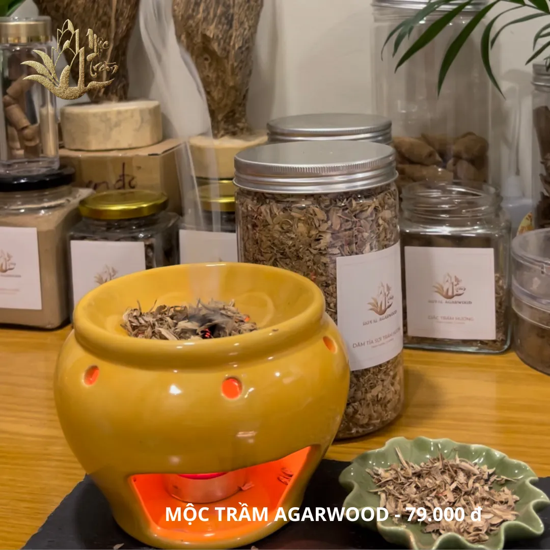 Premium Glazed Agarwood Burner – Ceramic Incense Stove for Chips, Cones &amp; Herbal Blends (13 cm Diameter)